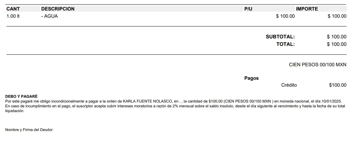 PagareFormatoPDF