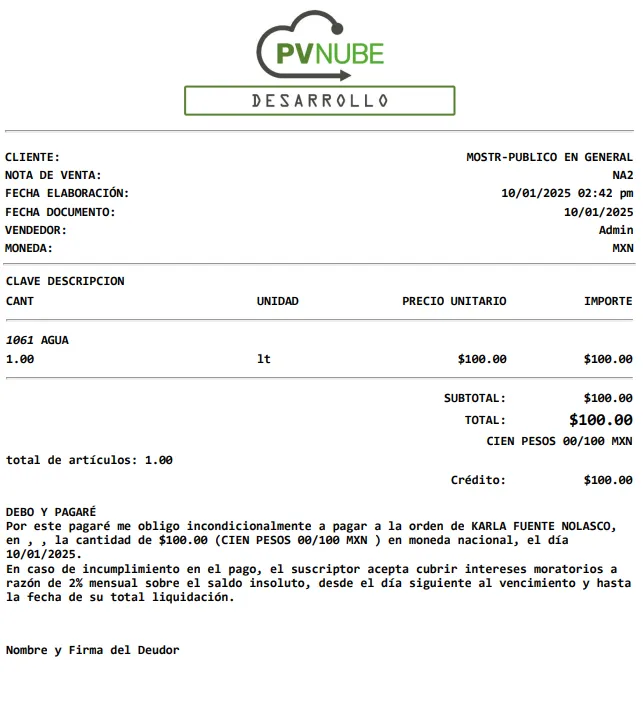 PagareFormatoTicket